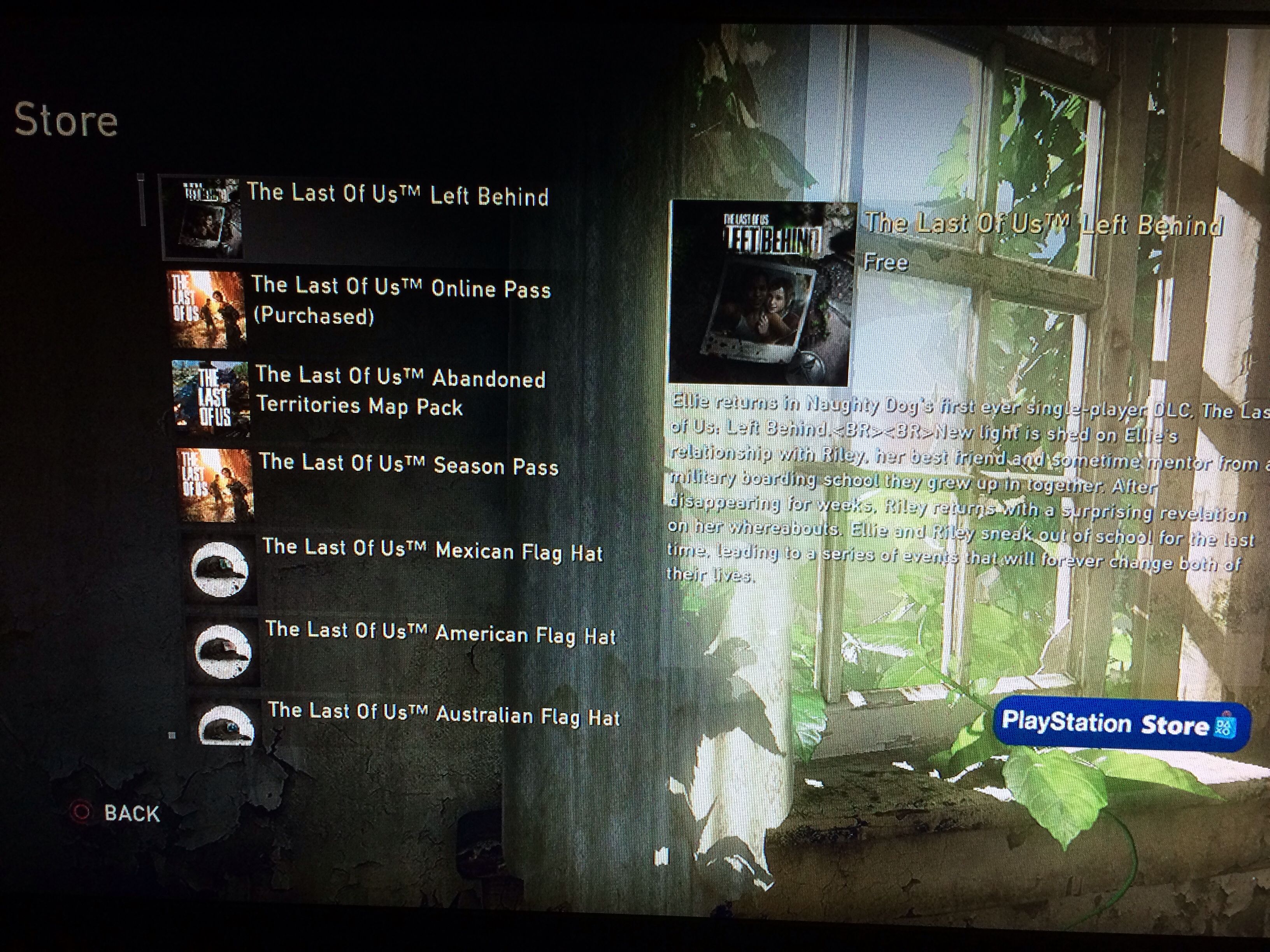I recently downloaded The Last of us (PS3) from my pc then